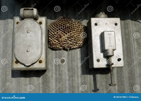 wasp nest in electrical box|electrical box wasp killer.